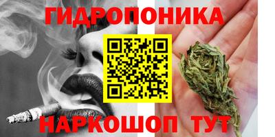 дживик Кинель