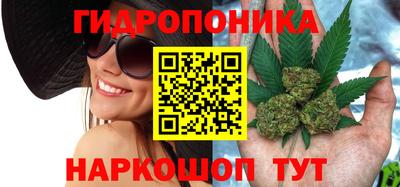 круглые Кингисепп