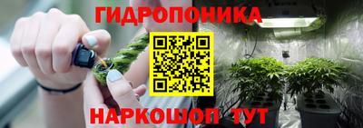 скорость Кимры